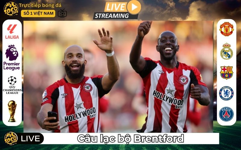 Câu Lạc Bộ Brentford – Hành Trình Khác Biệt Của “Bầy Ong”