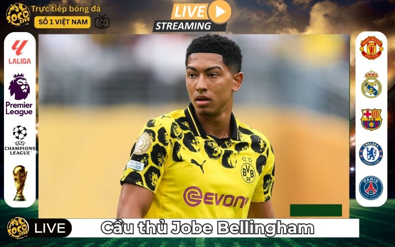 Cầu Thủ Jobe Bellingham – Tài Năng Trẻ Đang Tiếp Bước