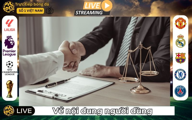 Miễn trừ trách nhiệm về nội dung người dùng đóng góp