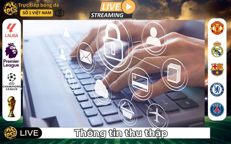 Thu thập thông tin tại SocoLive.ws