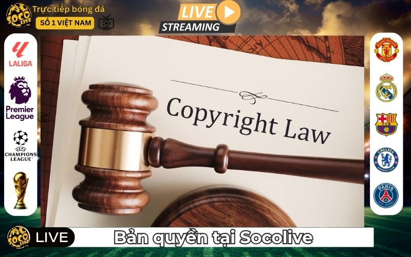Tổng quan về bản quyền tại SocoLive.ws